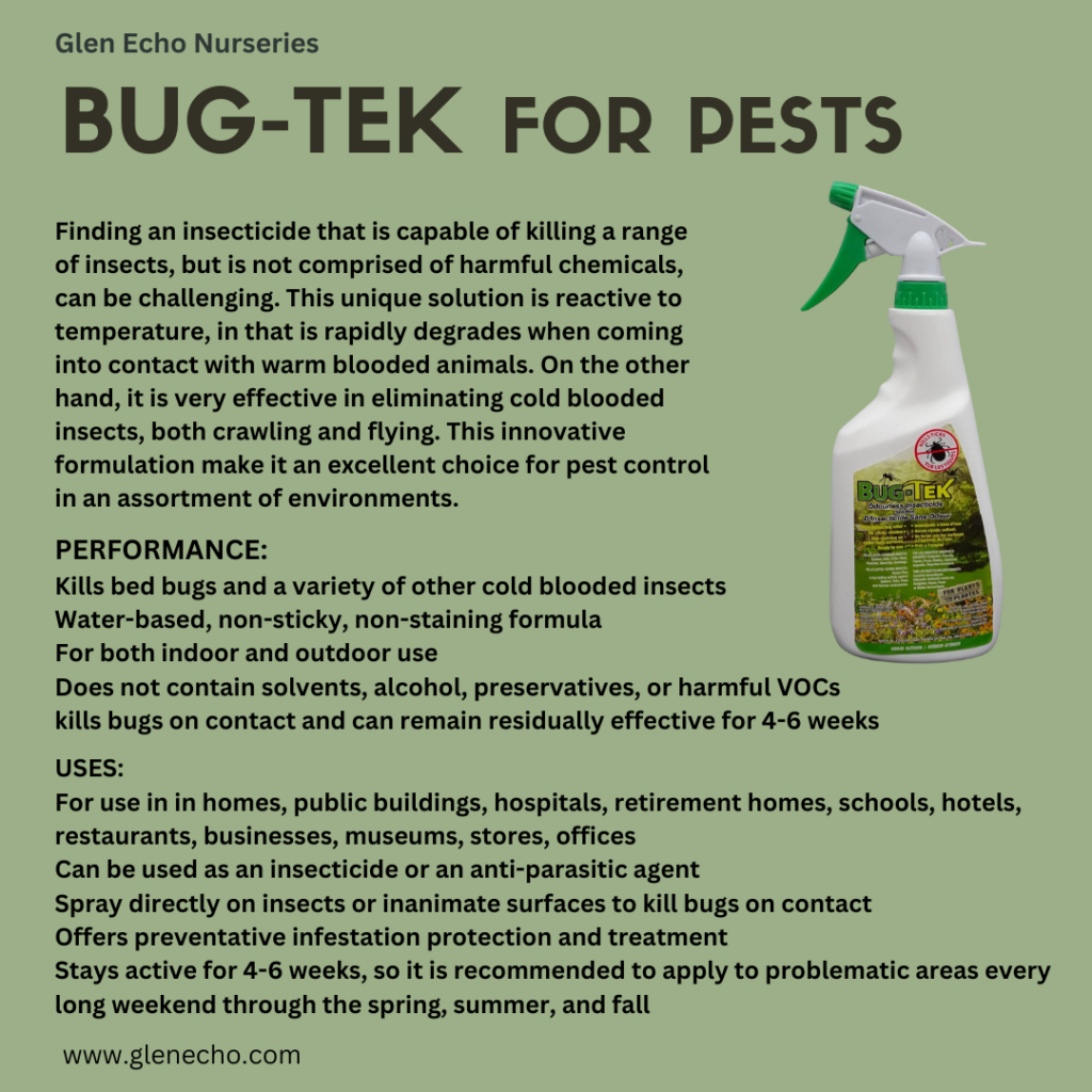 Pest Problems on your Boxwoods? Try Bug-Tek - Glen Echo Nurseries