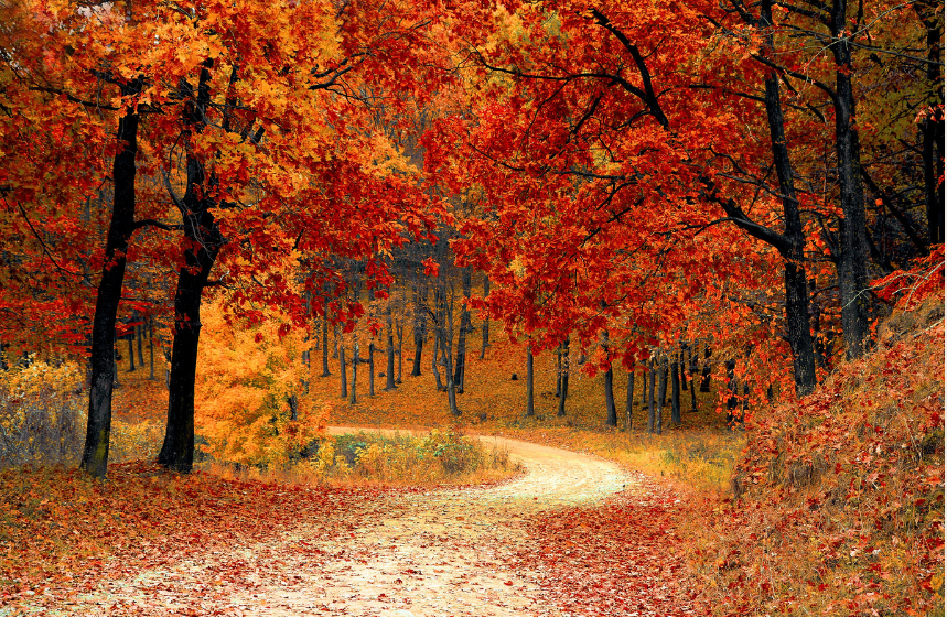 Fall 4