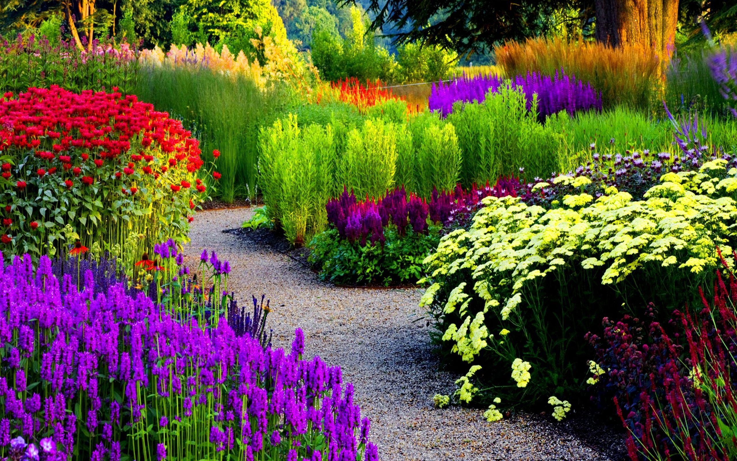 Garden pic