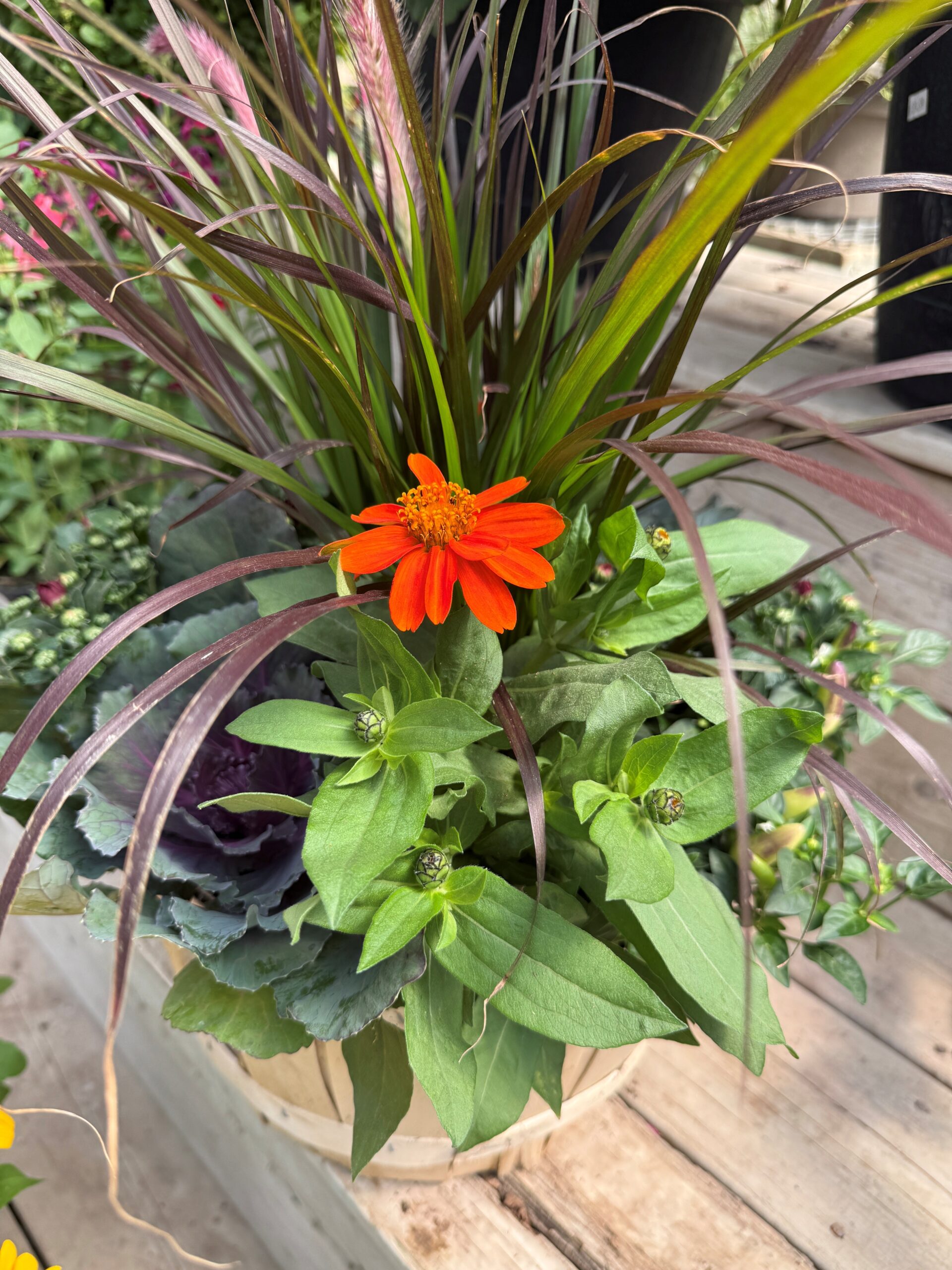 Wood Peck Arrangement 2025 3