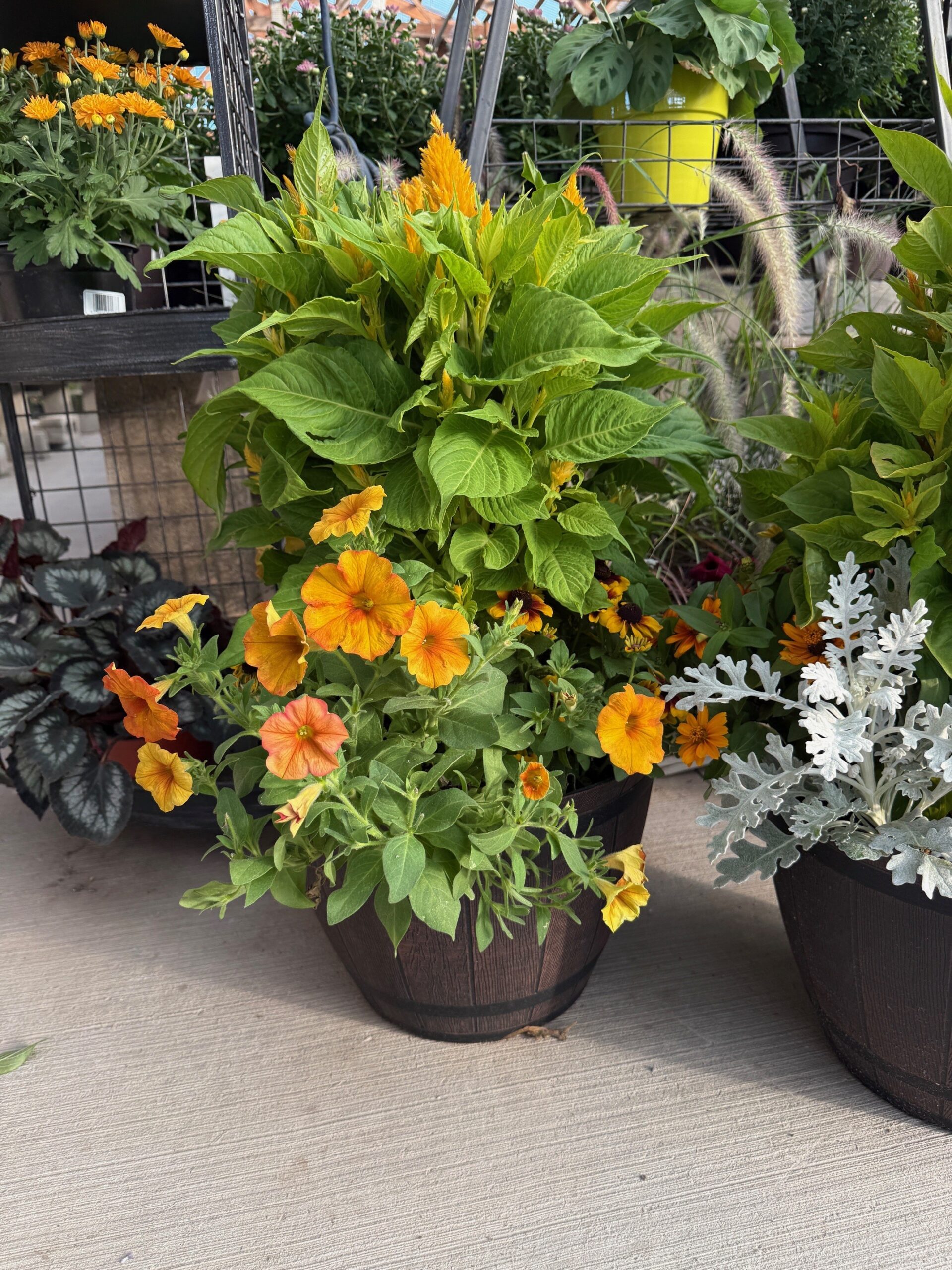 Fall Planters 7